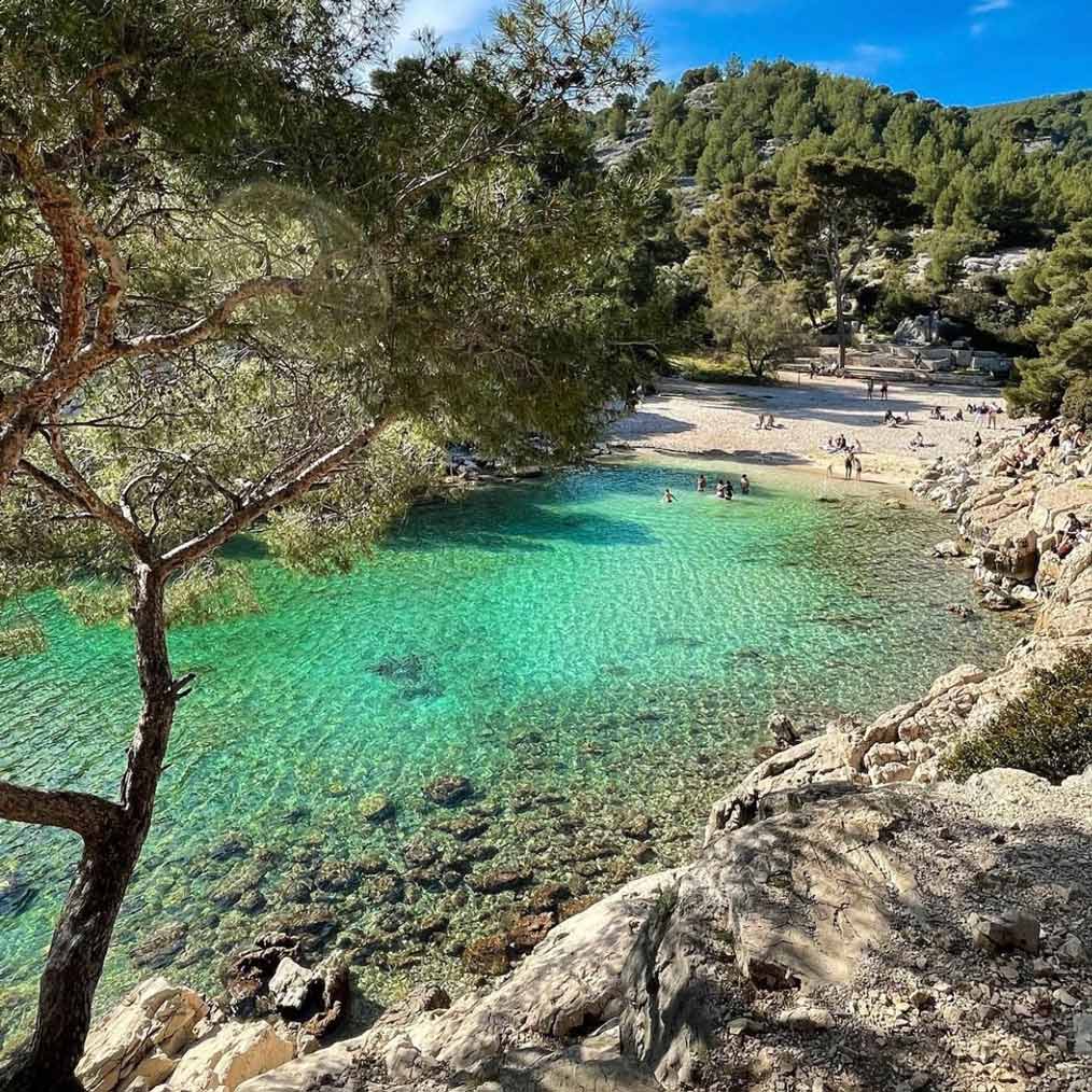 Wild Port-Pin beach with emerald waters bordered by Aleppo pines.