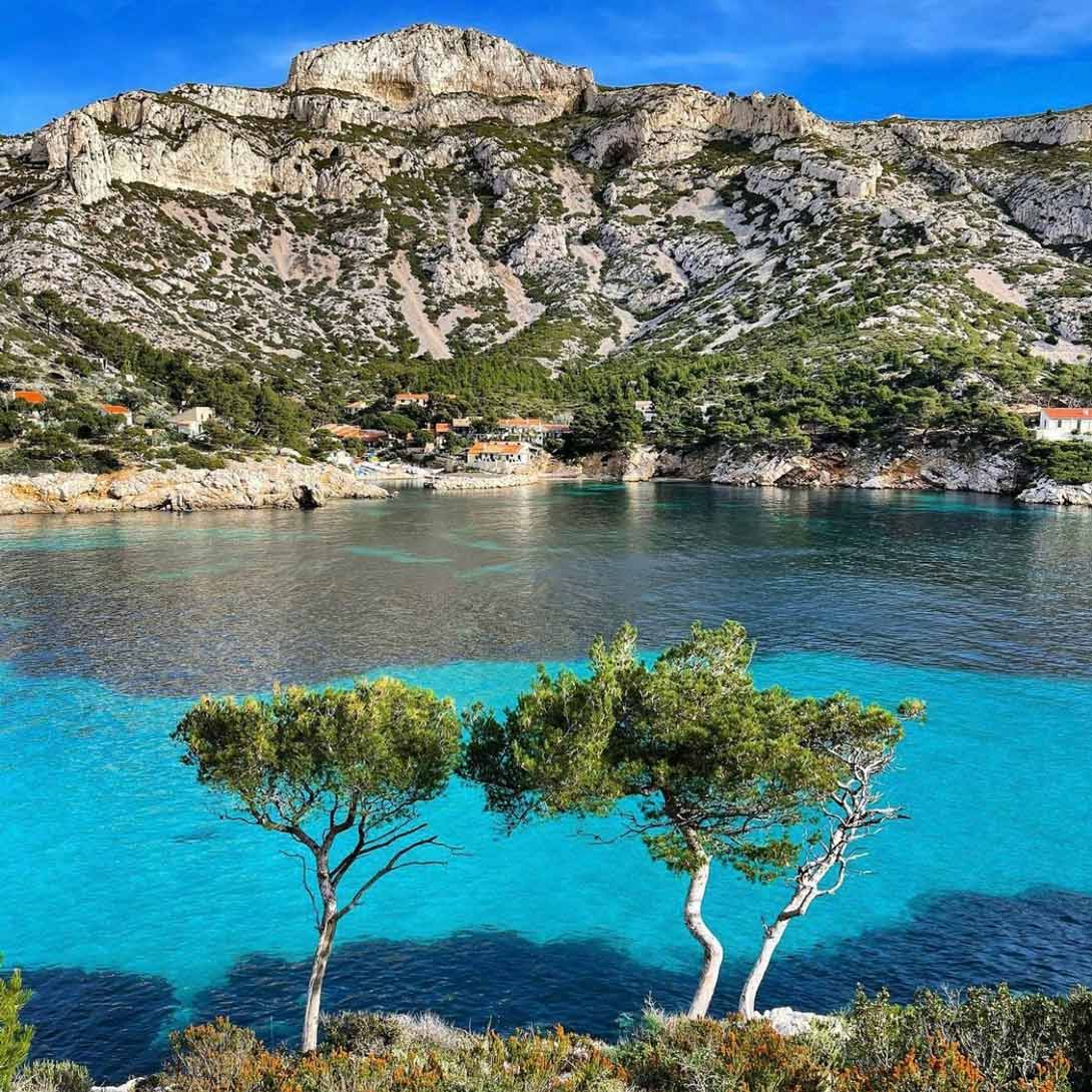Panoramic view of Sormiou bay framed by two pine trees.
