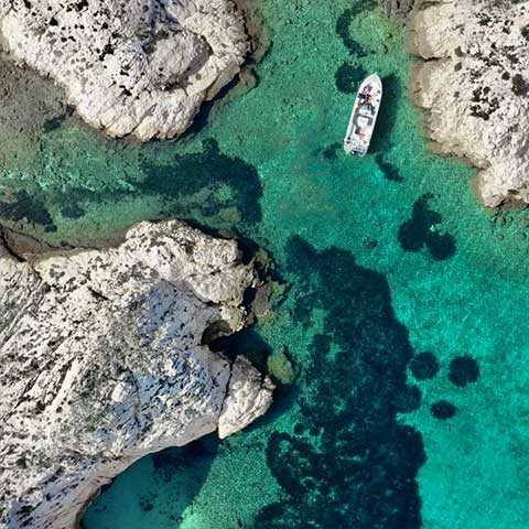 Frioul cruise excursion net