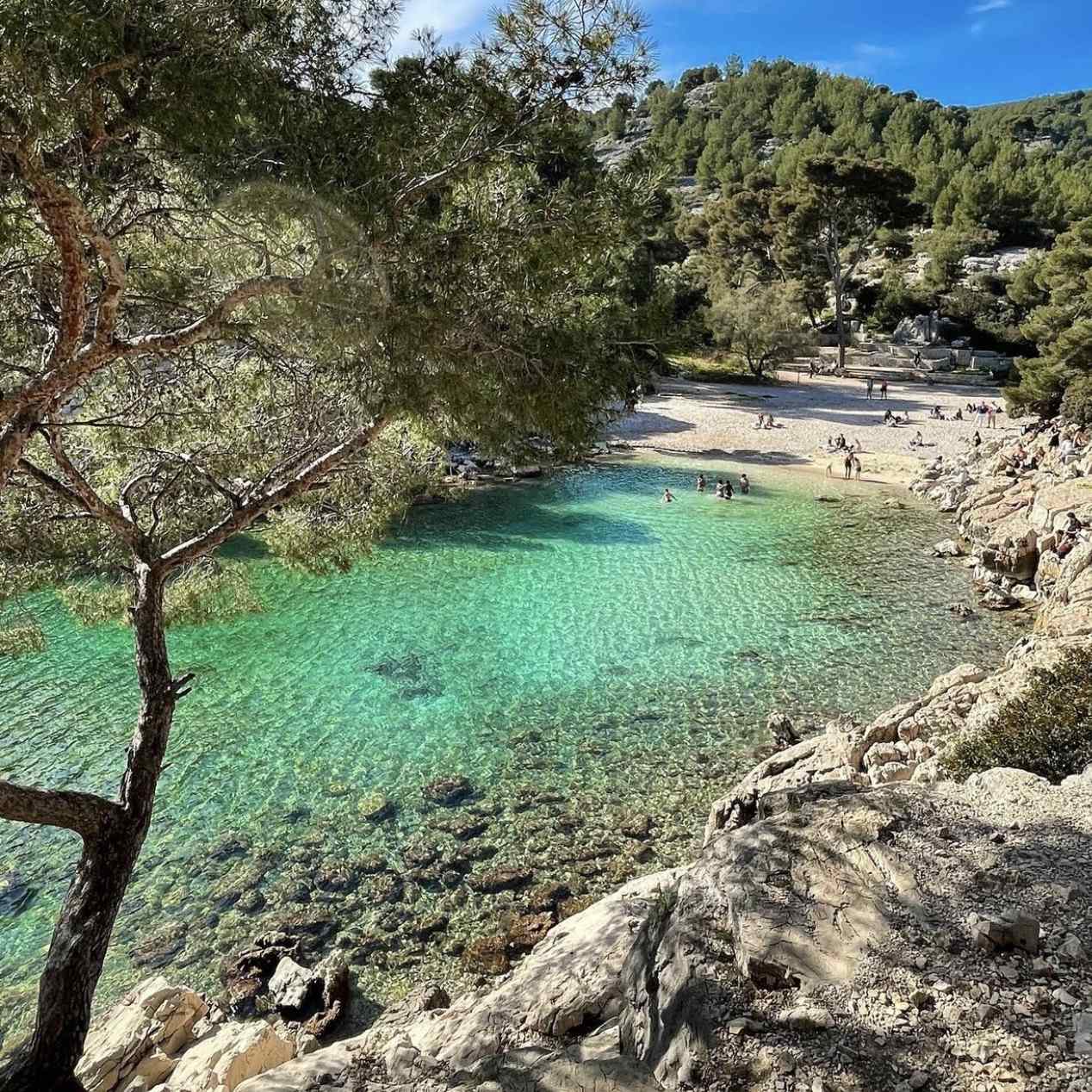 Wild beach of Port-Pin with emerald waters and umbrella pines.